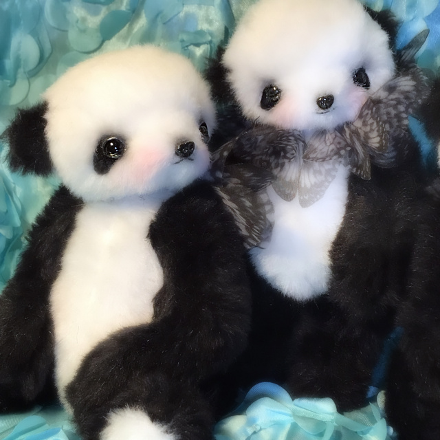 Papillon Pandas