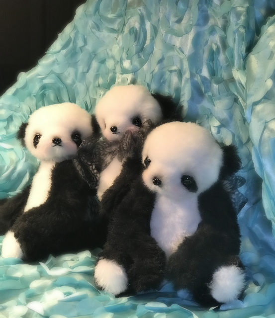 Papillon Pandas