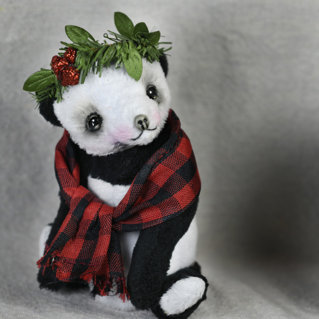 'Jaya Winterpanda' 1/1