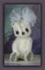 'Aurora Adorealis' a Beaded Body Bear