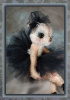 Bebe Treschic a Boudoir Ballerina Design