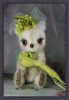 'Lady Kylie Le Bel' a Sweet Girl Bear