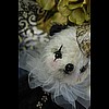 'Maribelle le Pierrot'