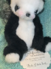 'Chi the Papillon Panda'