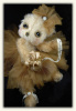 'Georgine d'Or' a Golden Ballet Bear