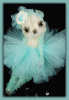 'Giselle le Classique' a BearFest at Tiffany's Bea